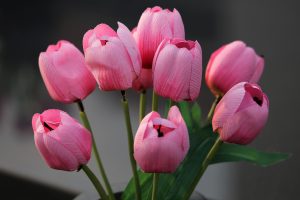 Sposoby wykorzystania sztucznych kwiatów i ich zalety